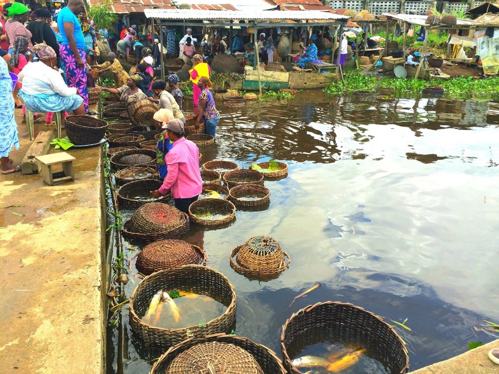 Epe Fish Market - unusual things to do in Lagos