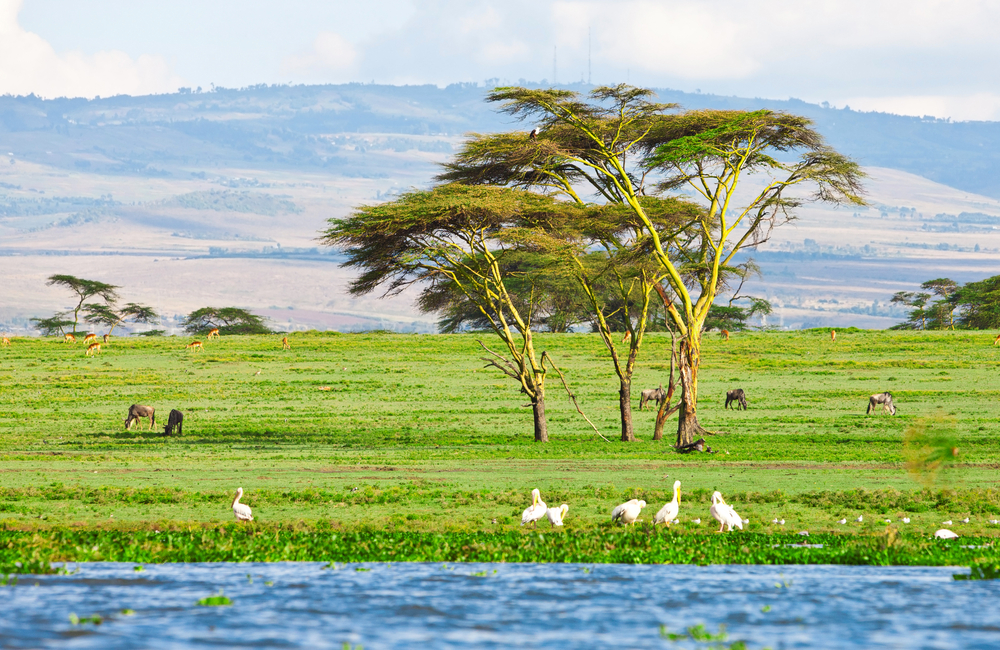 Lake Naivasha in Kenya