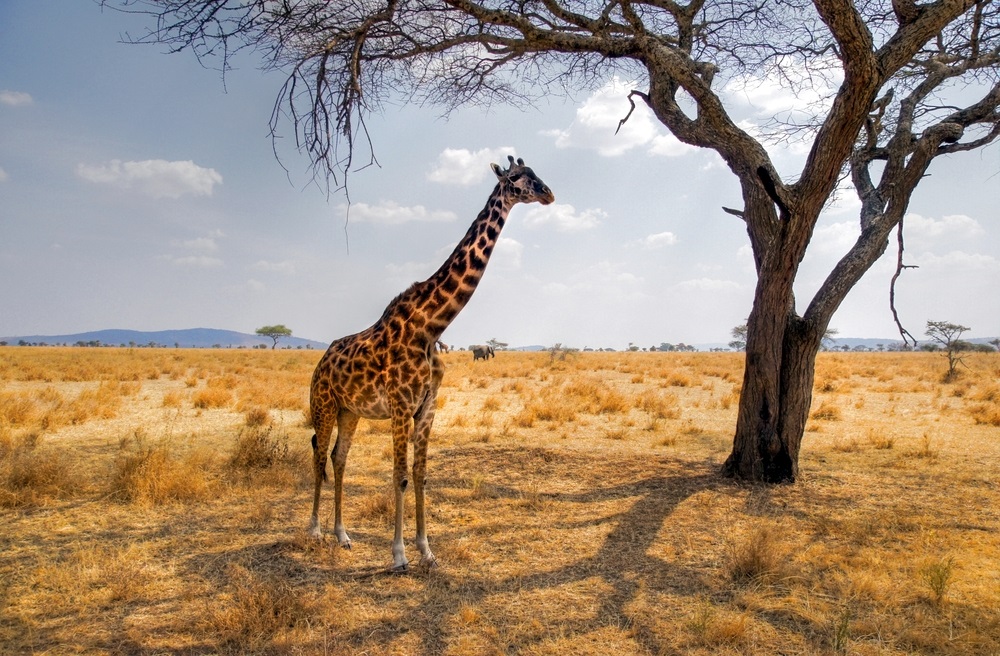 Nairobi, Kenya