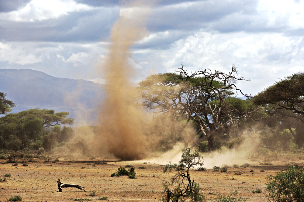 Sandstorm in Amboseli Park in Kenya