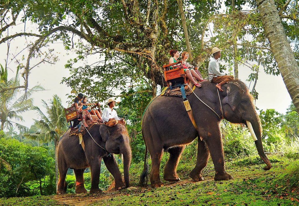 Elephant riding in Bali