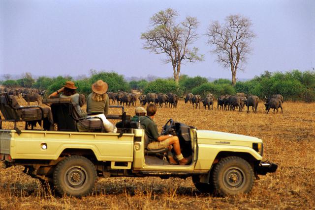 nairobi-wildlife