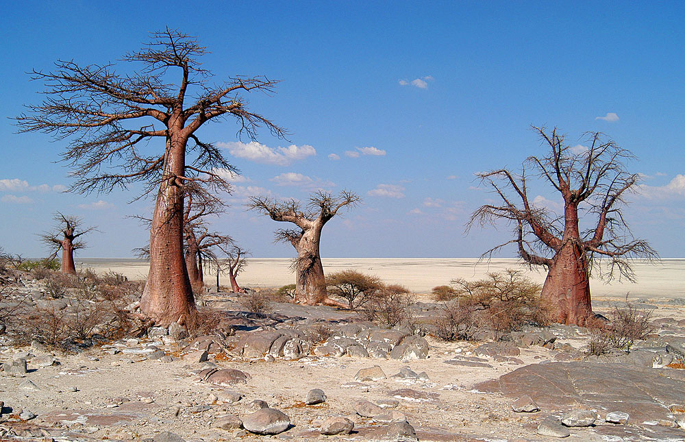 makgadikgadi_pans_national_park