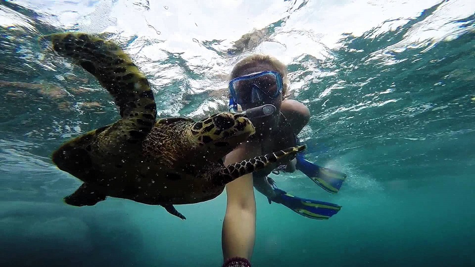 snorkelling-in-seychelles