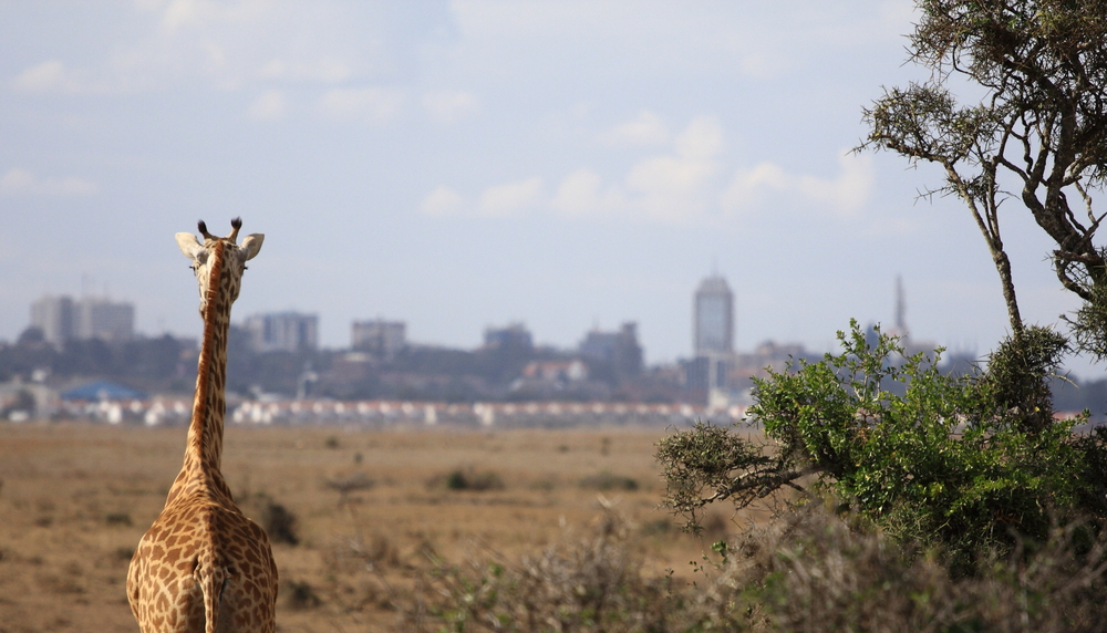 Travel Tips for First Time Visitors to Nairobi