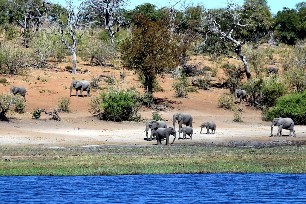 Botswana - most underrated destinations in Africa