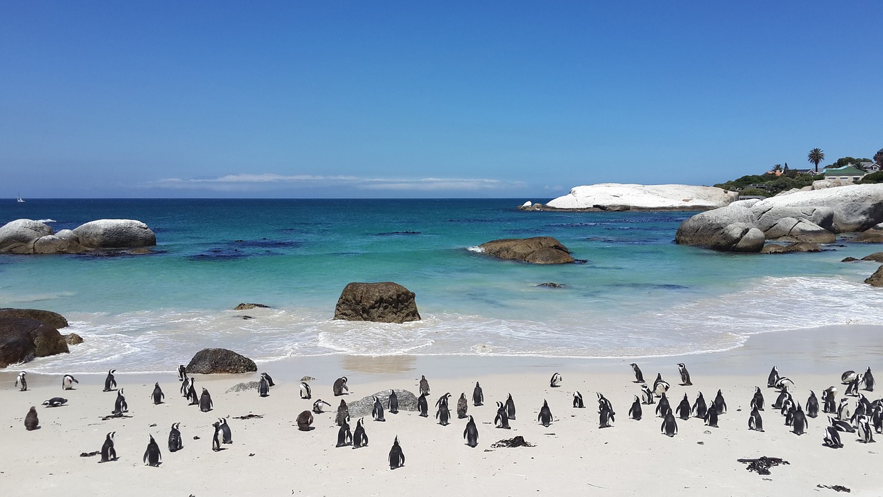 Top Cape Town Attractions