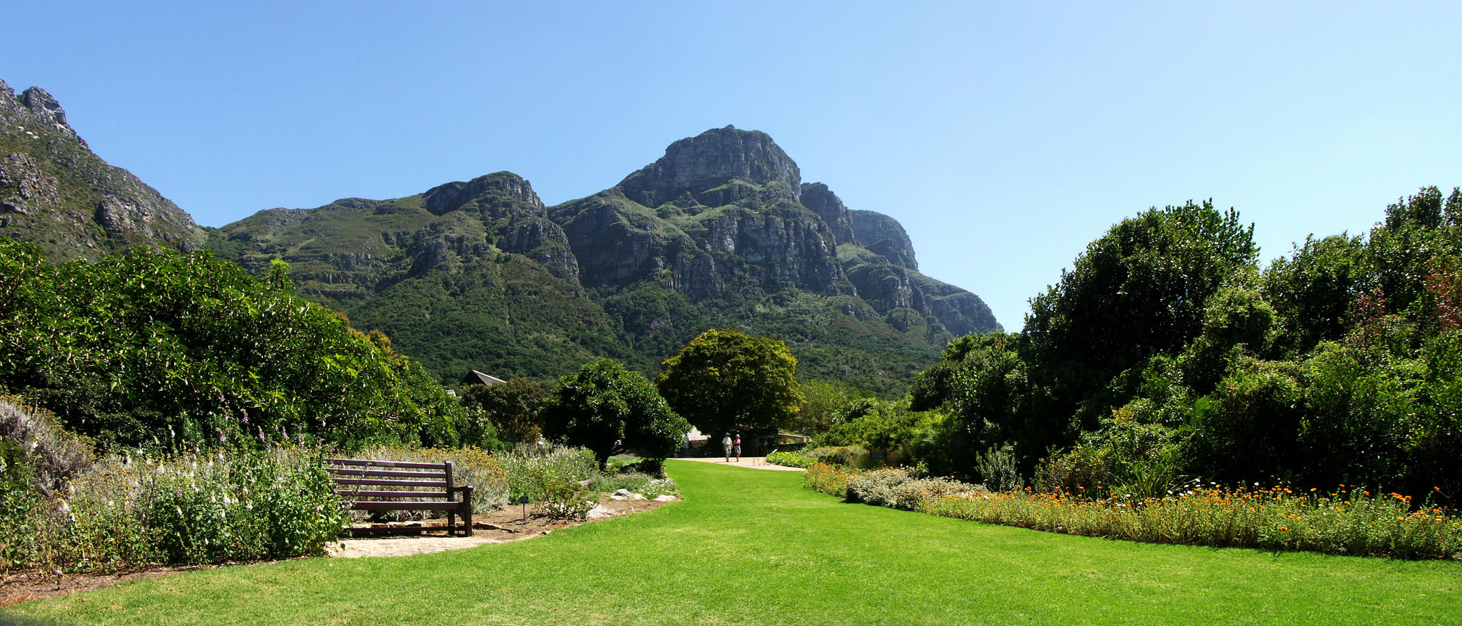 Top Cape Town Attractions