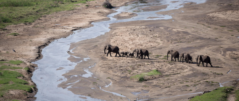 Wildlife: Common hiking destination