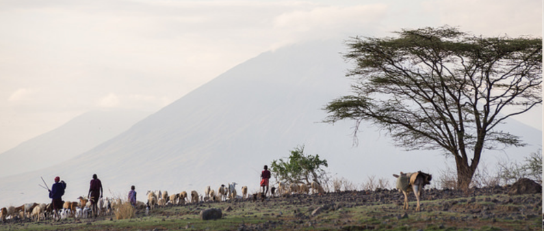 Common hiking worries: The locals