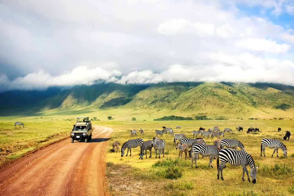 Ngorongoro African Safari Tours