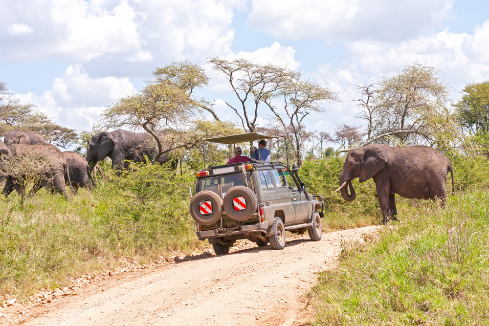 Serengeti Safari, Tanzania - African Safari Tours