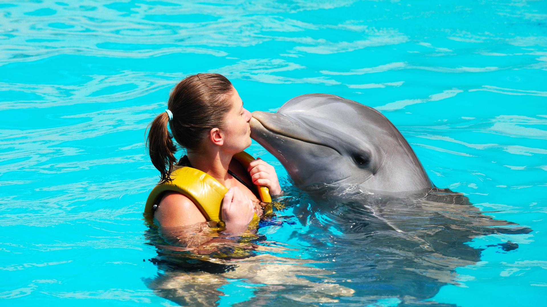 visit mauritius | dolphins mauritius