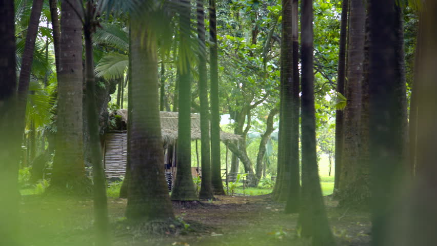 Mauritius Jungle 