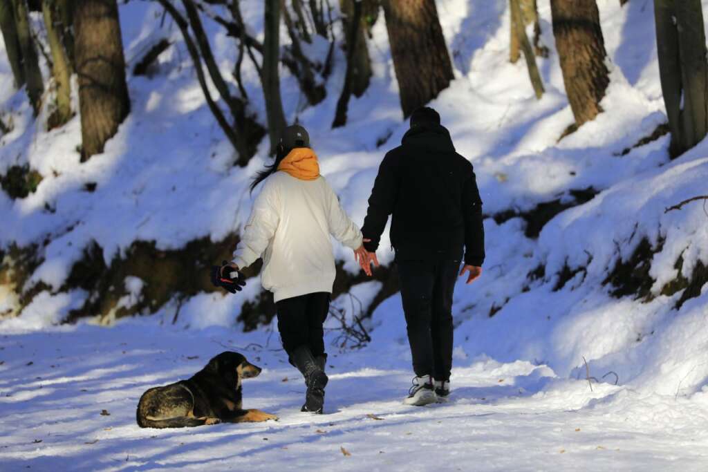 Paris is perfect for a Christmas