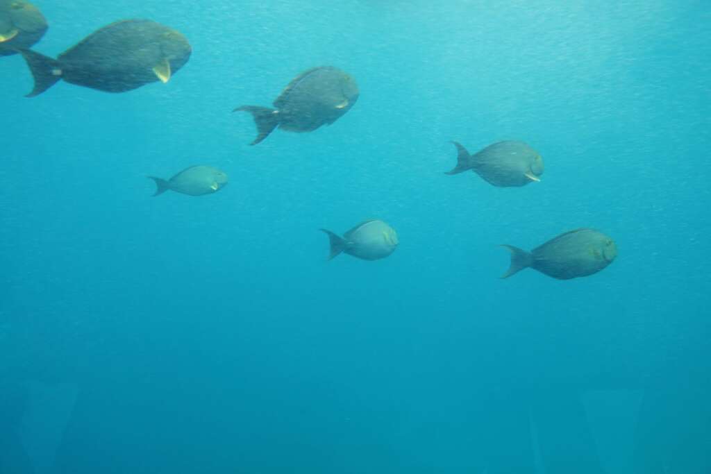 great experiences you can only have in Bali