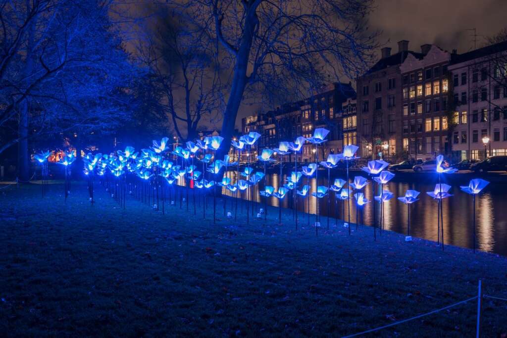 Things To Do in Amsterdam During Christmas