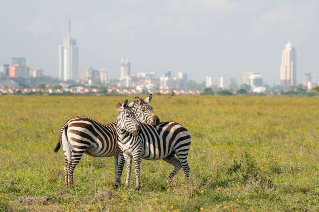 things That Will Make You Fall In Love With Nairobi