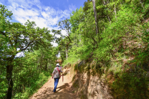 Hiking trails in Bhutan - Visit Bhutan