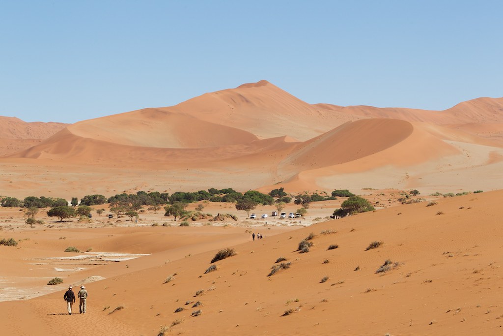 Sossusvlei red sand dunes rising above the white clay pan floor in Namib-Naukluft National Park