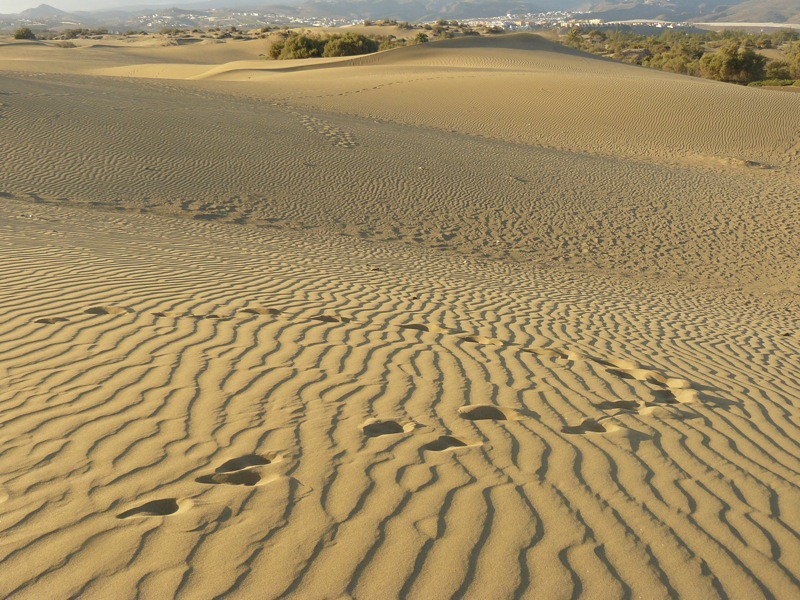 Maspalomas sweeping golden sand dunes and coastal nature reserve in Gran Canaria Canary Islands