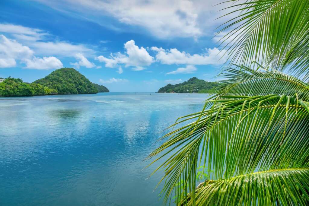 Travel Safely During COVID-19