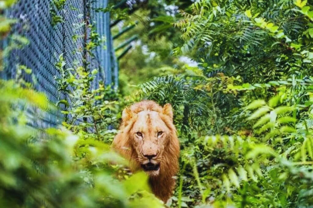 Things to do in Accra 2025