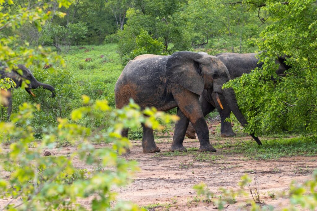 Hidden gems in West Africa