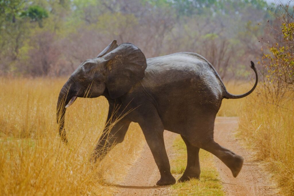 Hidden gems in West Africa