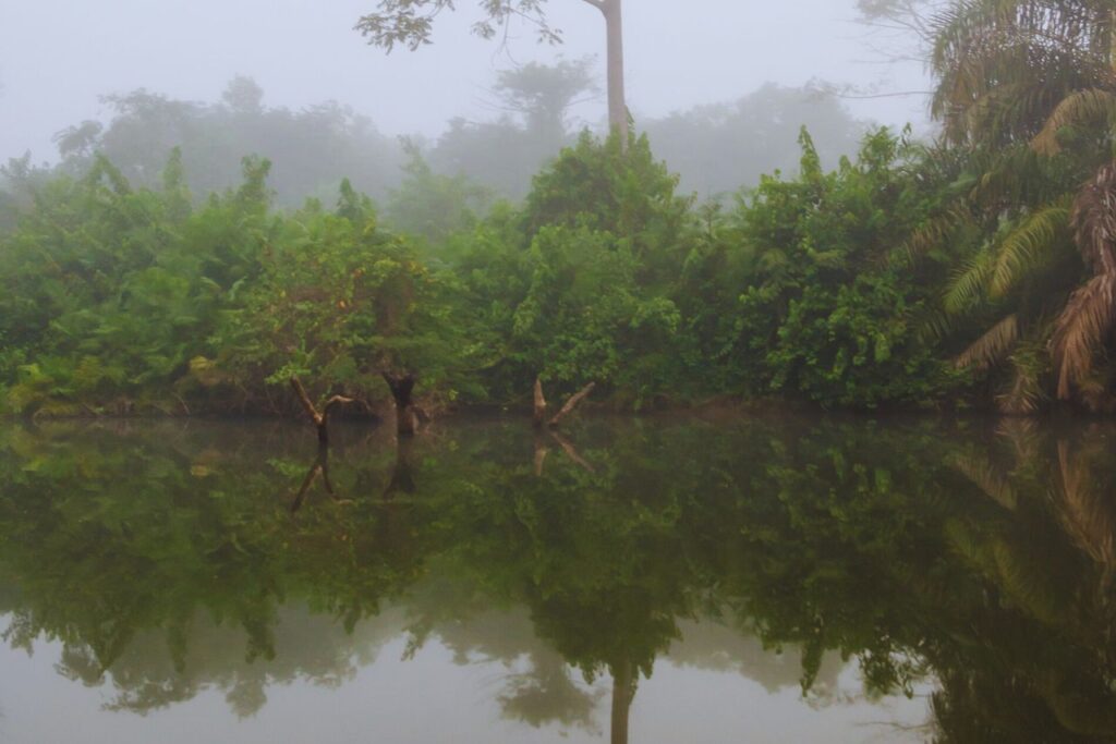 Hidden gems in West Africa