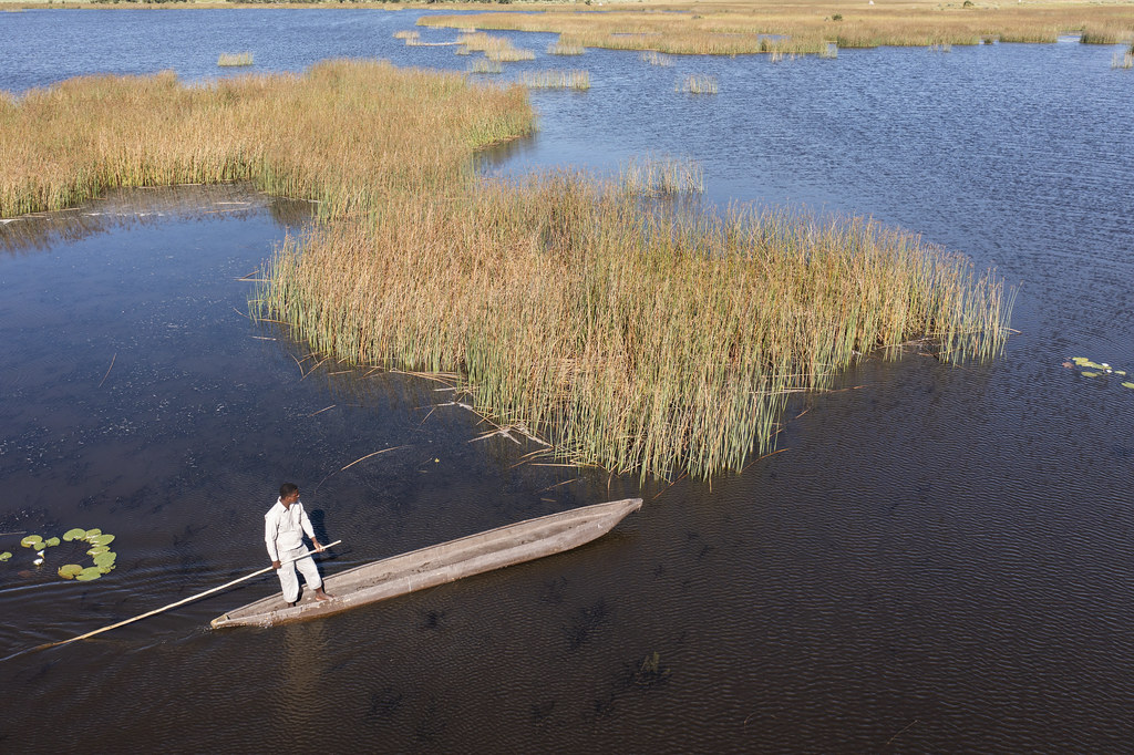 Traditional mokoro dugout canoe poling through the tranquil reed channels and water lilies of the Okavango Delta in Botswana.