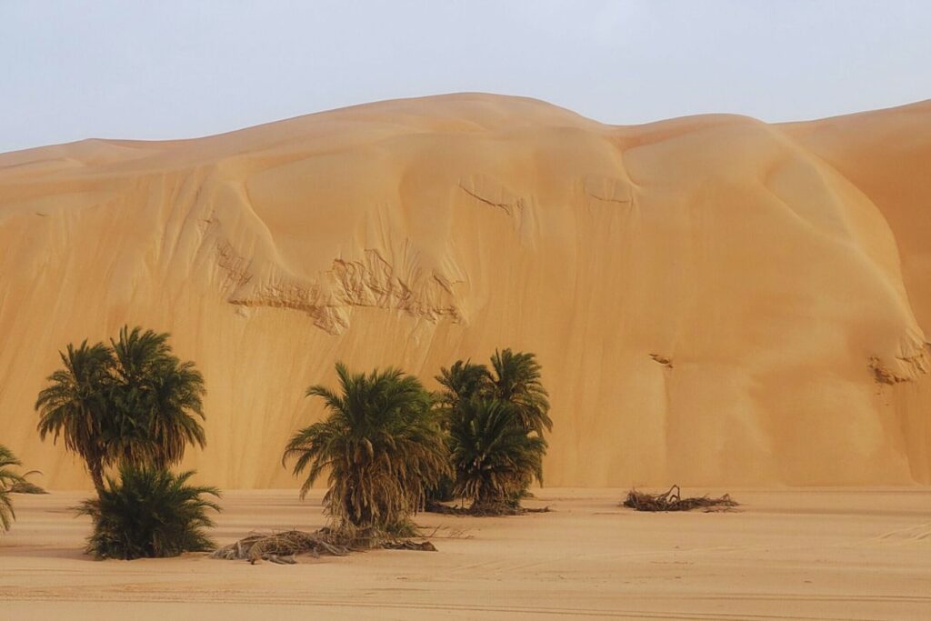 Nouakchott Travel Guide