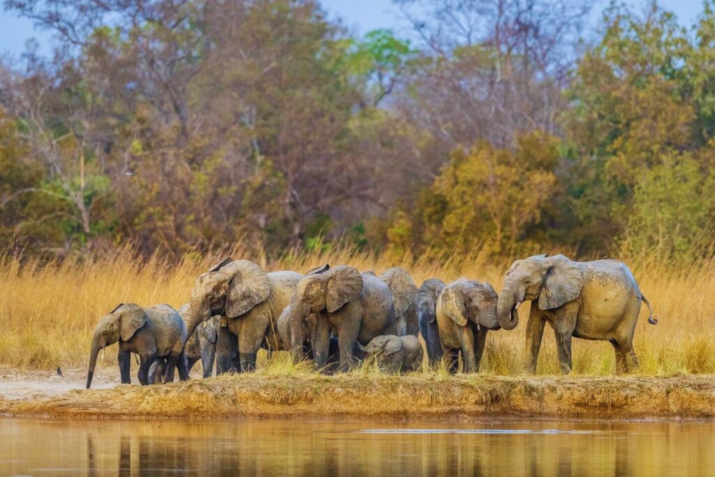 Things to do in Cotonou