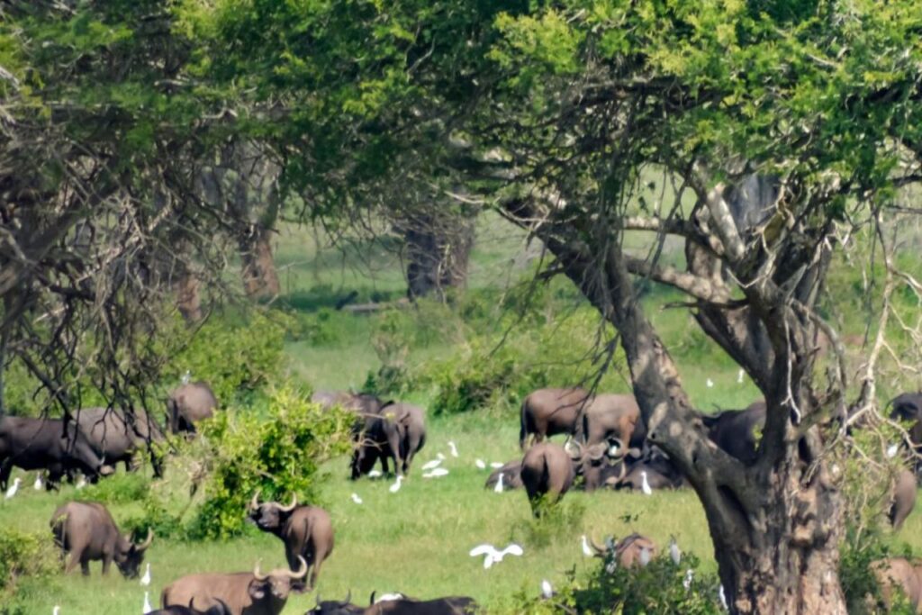 Things to do in Abidjan