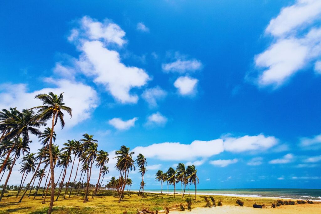 Things to do in Cotonou