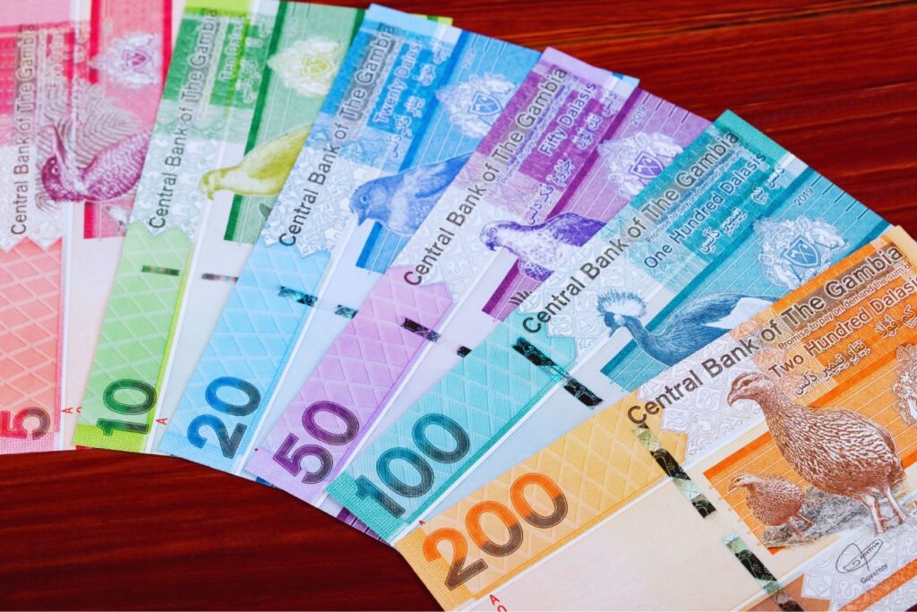 things to do in the gambia