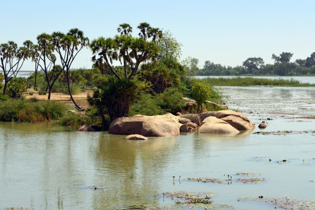 niger river