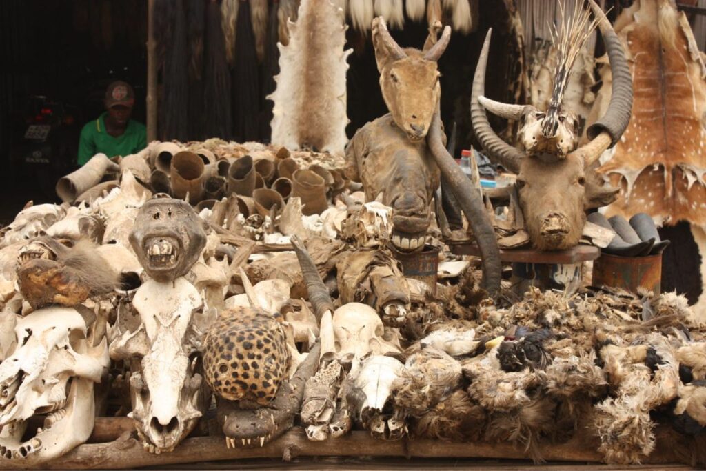 things to do in Lomé