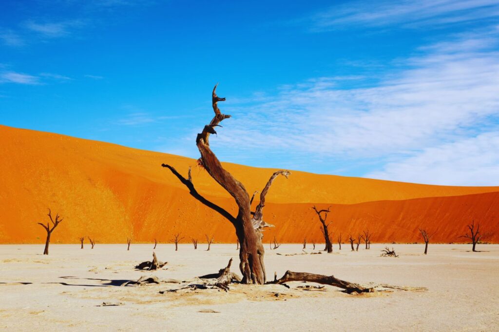 Namib Desert