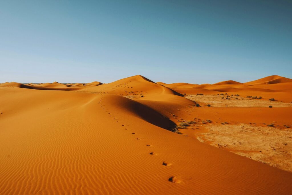 Sahara Desert