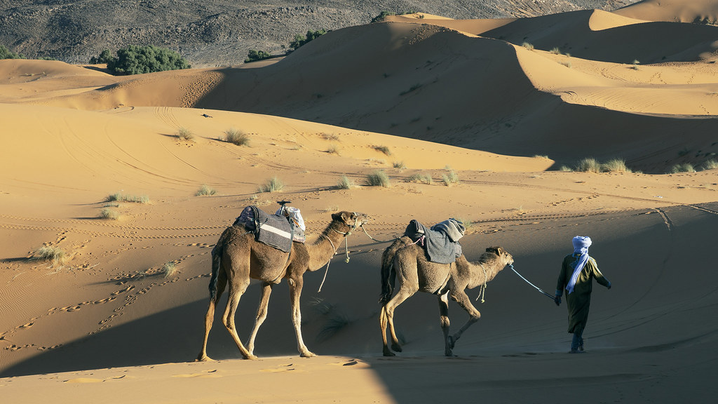 Sahara Desert sand dunes and camel caravan in North Africa