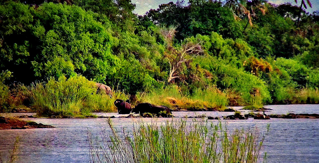 Livingstone Island on the brink of Victoria Falls in Zambia