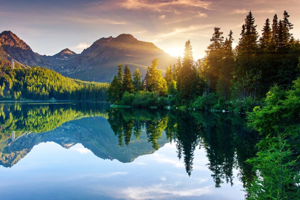 African nature travel