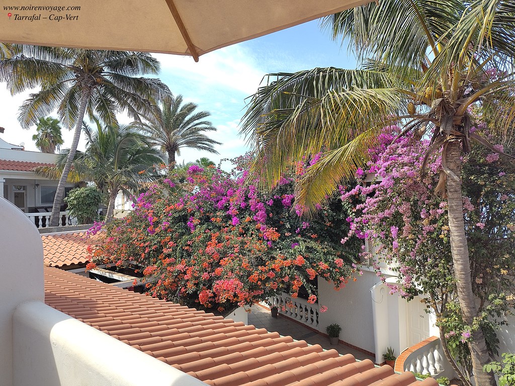 Coastal cliffs, ocean view, and Kingfisher village in Tarrafal, Santiago Island, Cape Verde