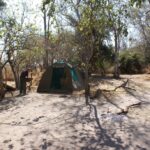 Luxury tented safari lodge overlooking a serene African savannah wilderness at dawn.