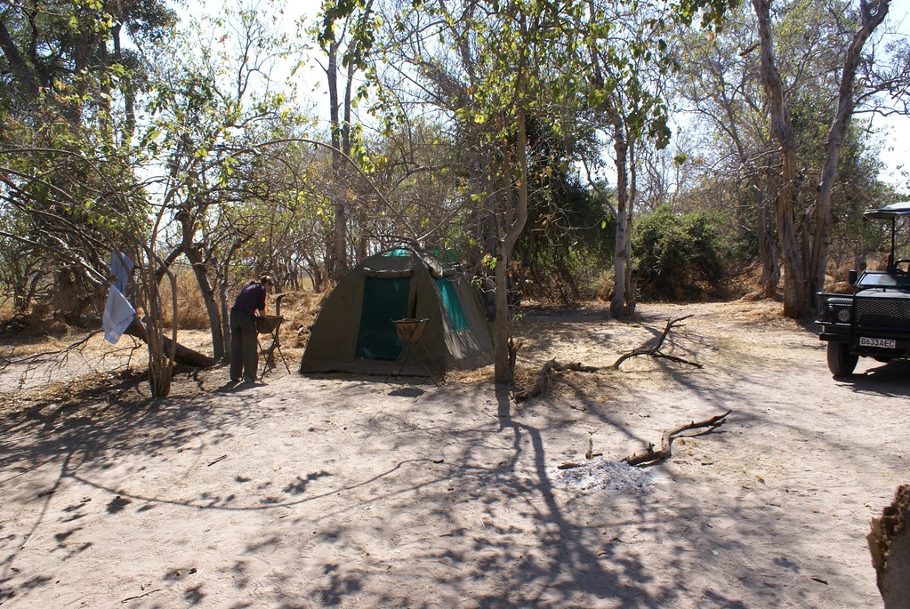 Luxury tented safari lodge overlooking a serene African savannah wilderness at dawn.